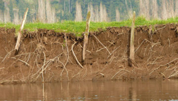 erosión ribereña río bueno